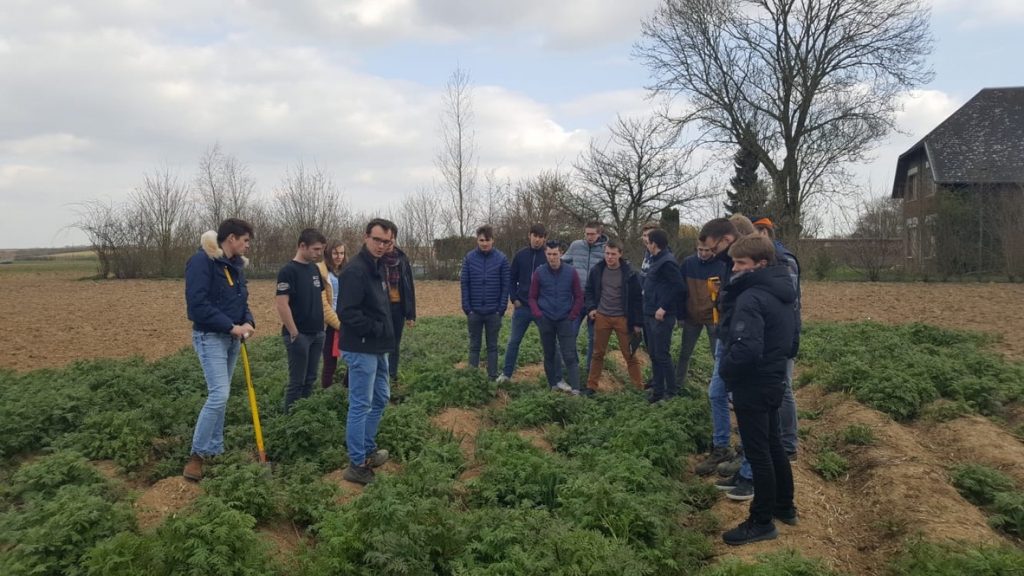 Groupe d'étudiants observant un couvert végétal en bordure d'une parcelle travaillée